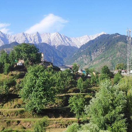 Mcleodganj Diaries Bed & Breakfast Дхарамсала Екстериор снимка