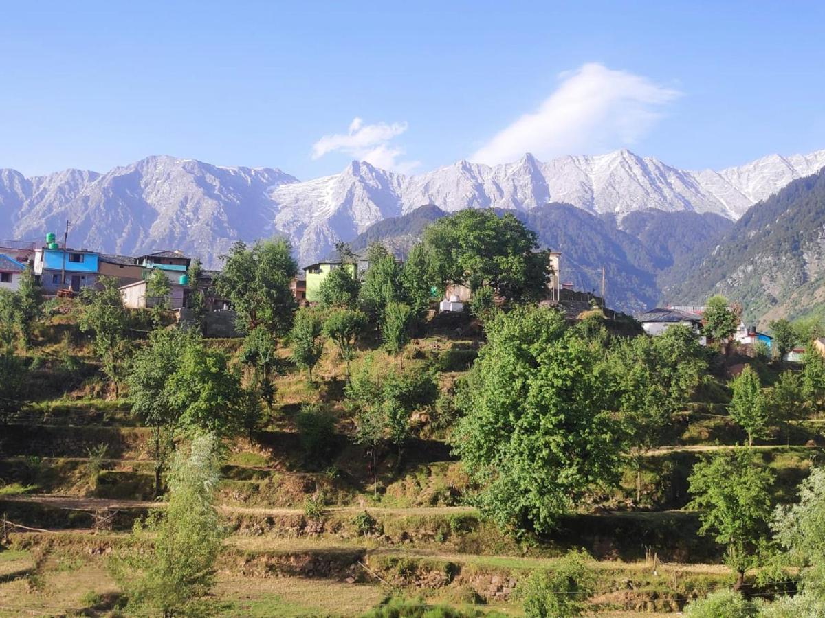 Mcleodganj Diaries Bed & Breakfast Дхарамсала Екстериор снимка